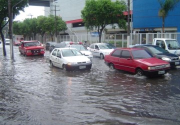 Detran|ES orienta proprietários de veículos que perderam a placa na chuva