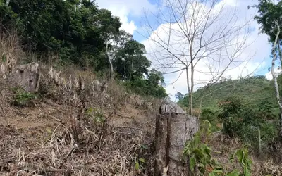 Idaf usa a tecnologia em operação contra o desmatamento em Guarapari