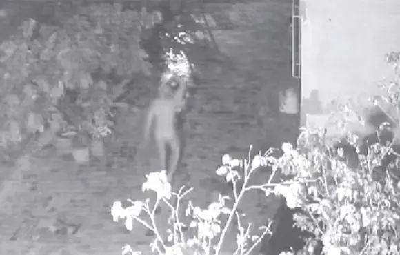 VÍDEO | Completamente nu, foragido da Justiça invade casa em Vila Velha