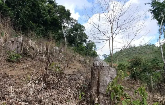 Idaf usa a tecnologia em operação contra o desmatamento em Guarapari