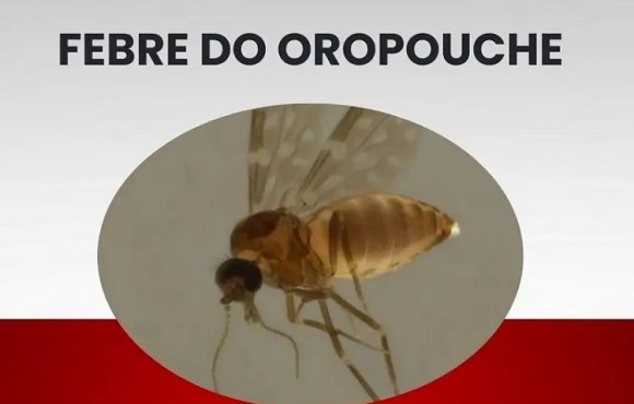 Espírito Santo concentra 99% dos casos de febre oropouche em 2025